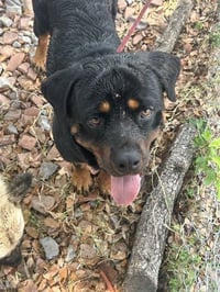 ZOLA - Photo 1