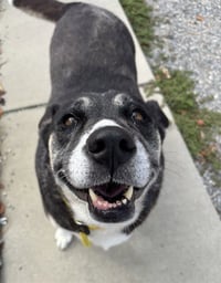 MISSY - Photo 1