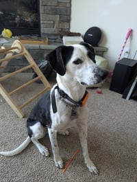 Bedrock Crew : Pearl (Winter) - Photo 1