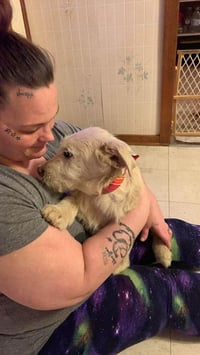 Wednesday Surprise : Chief - Photo 3