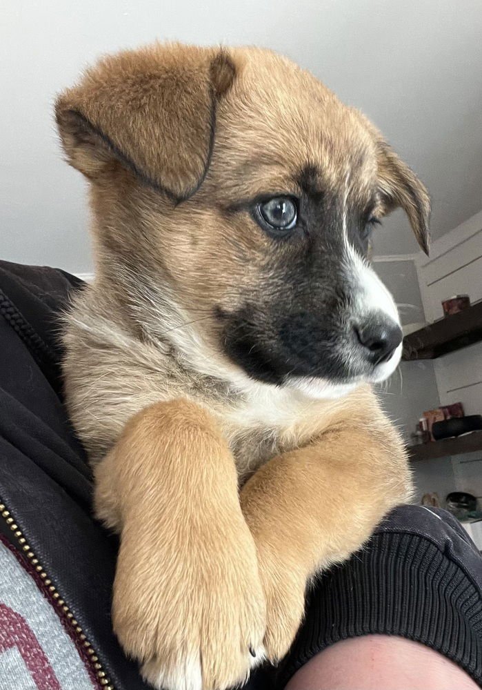 Colorado : Peyton - Photo 3