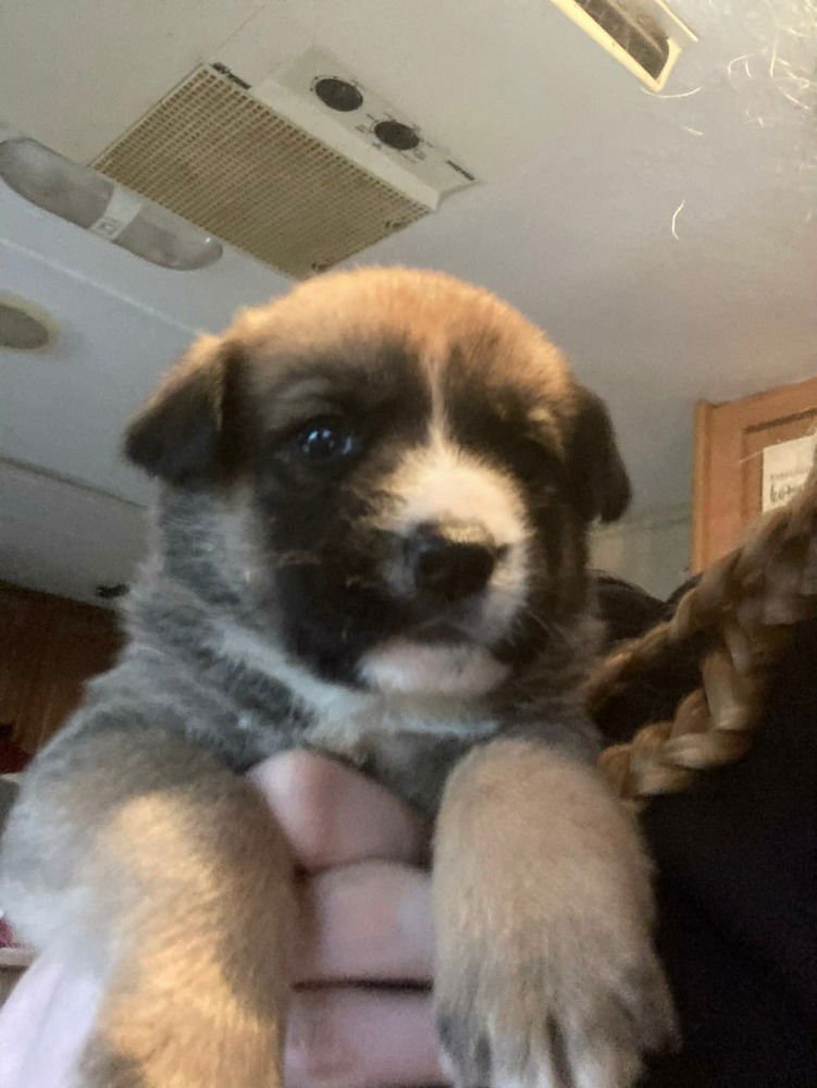 Colorado : Peyton - Photo 4