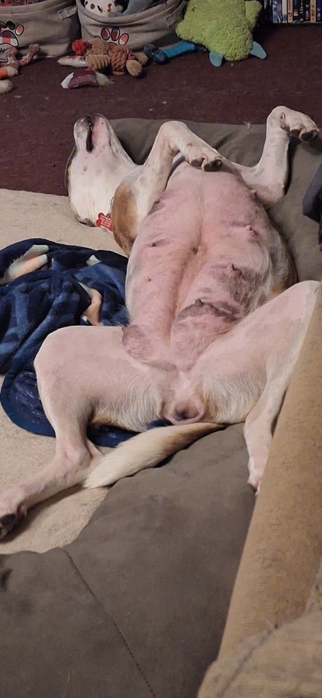 Mama Lilly - Photo 3