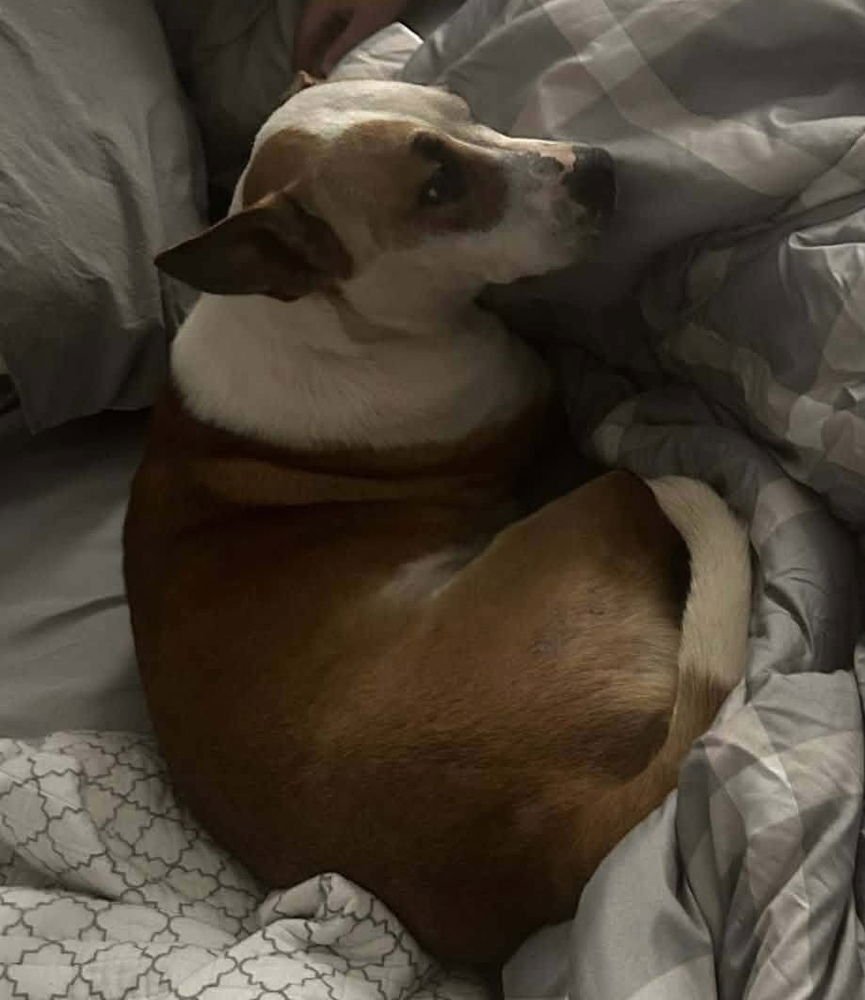 Mama Lilly - Photo 4