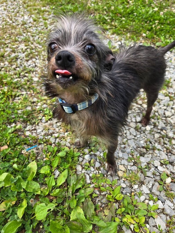 Lil Duke Image
