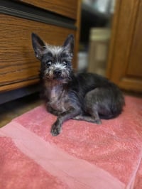Lil Duke - Photo 2