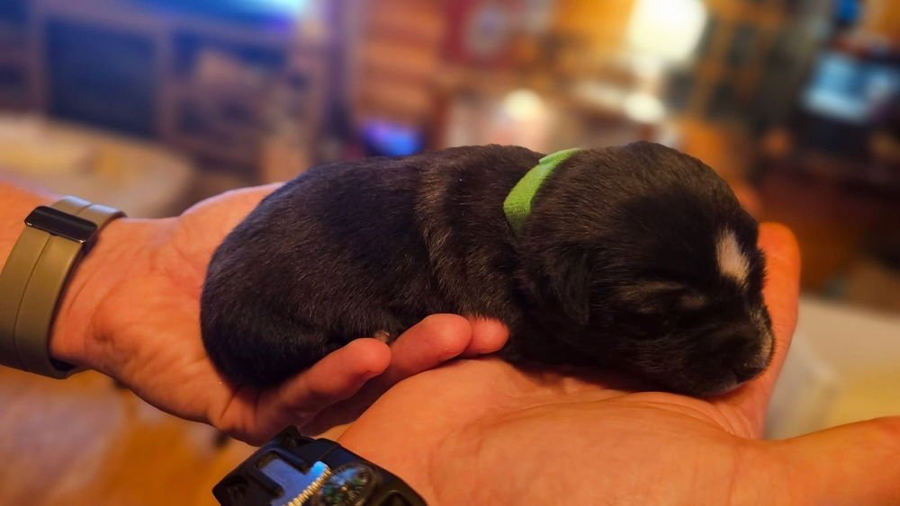 Nature Crew : Storm - Photo 3