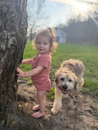 Baby Chips : Alvin - Photo 3