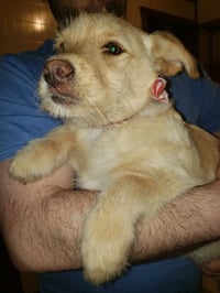 Wednesday Surprise : Scooter - Photo 1