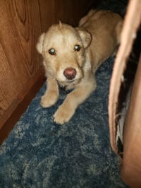 Wednesday Surprise : Scooter - Photo 3