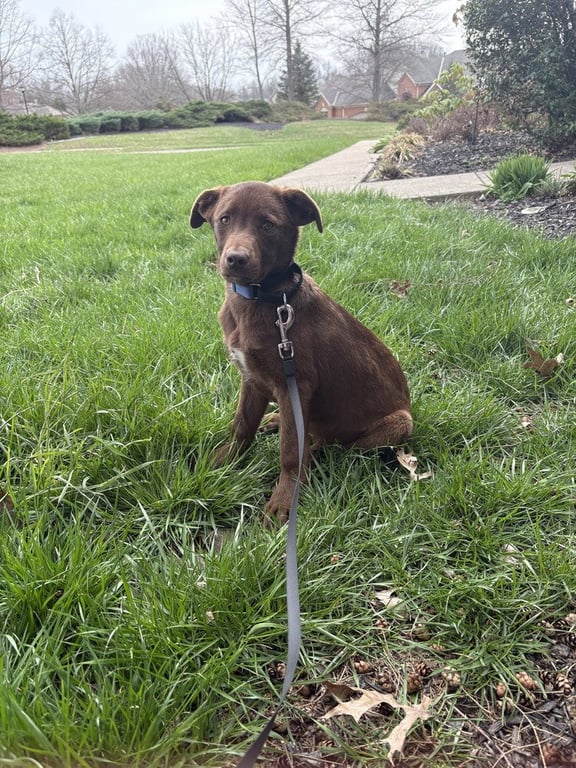 Wednesday Surprise : Blair Image