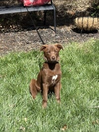 Wednesday Surprise : Blair - Photo 2