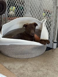 Wednesday Surprise : Blair - Photo 3