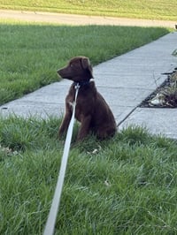 Wednesday Surprise : Blair - Photo 4