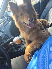 Bailey Love - Photo 1
