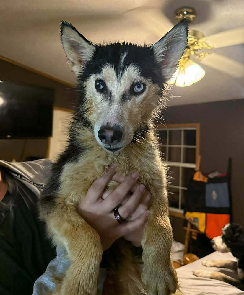 Seven Kingdoms : Baelor (Jason) - Photo 4