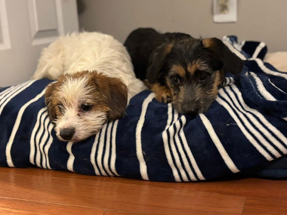 Sisters : Caddie - Photo 3