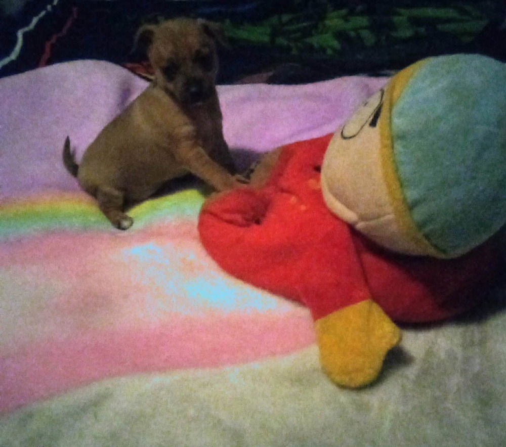 Roomies : Bert - Photo 4