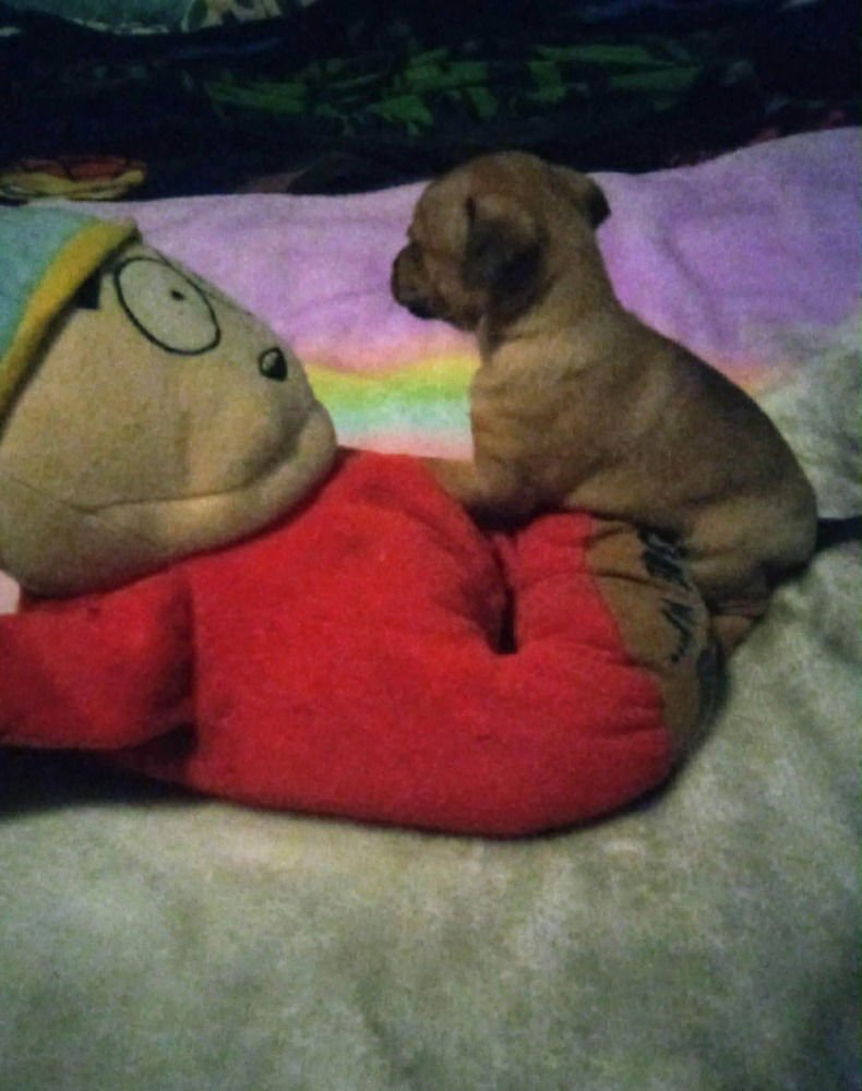 Roomies : Ernie - Photo 3