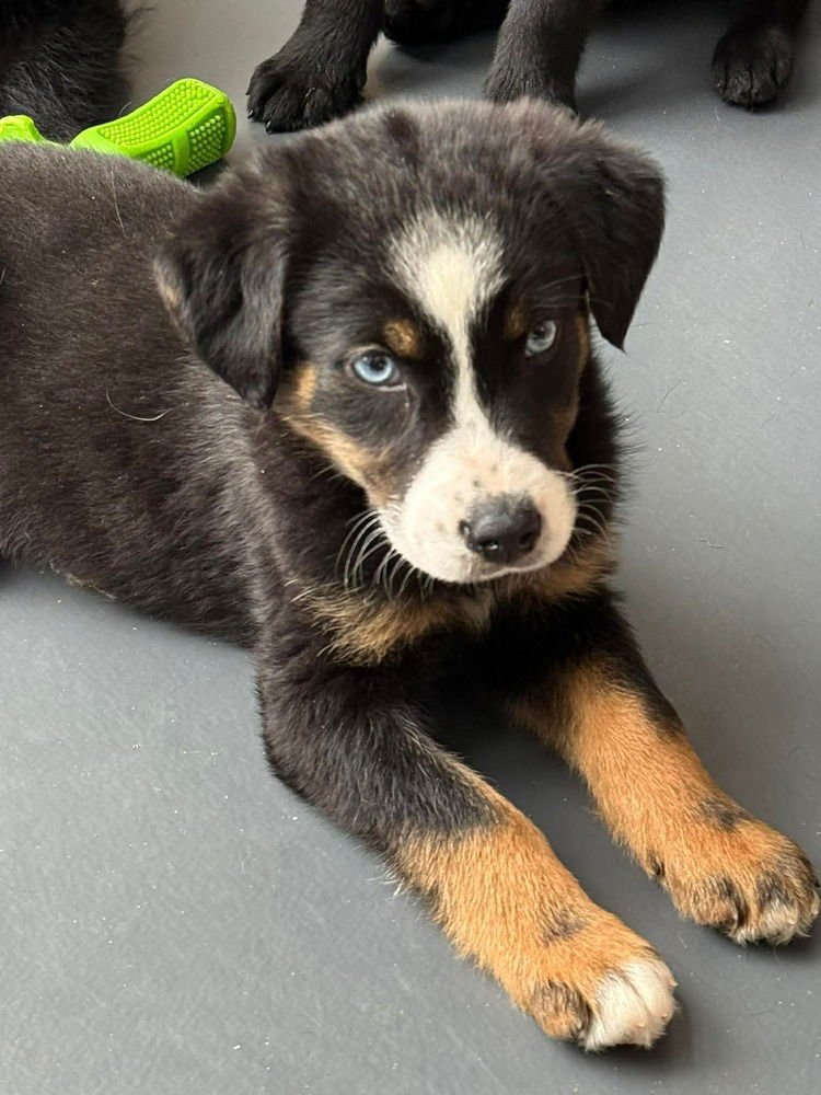 Lucky Lassies :  Shae - Photo 3