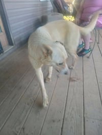 Ruby's Rowdies : Molly - Photo 3