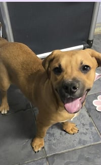 Marion Bullgles : Finn - Photo 2