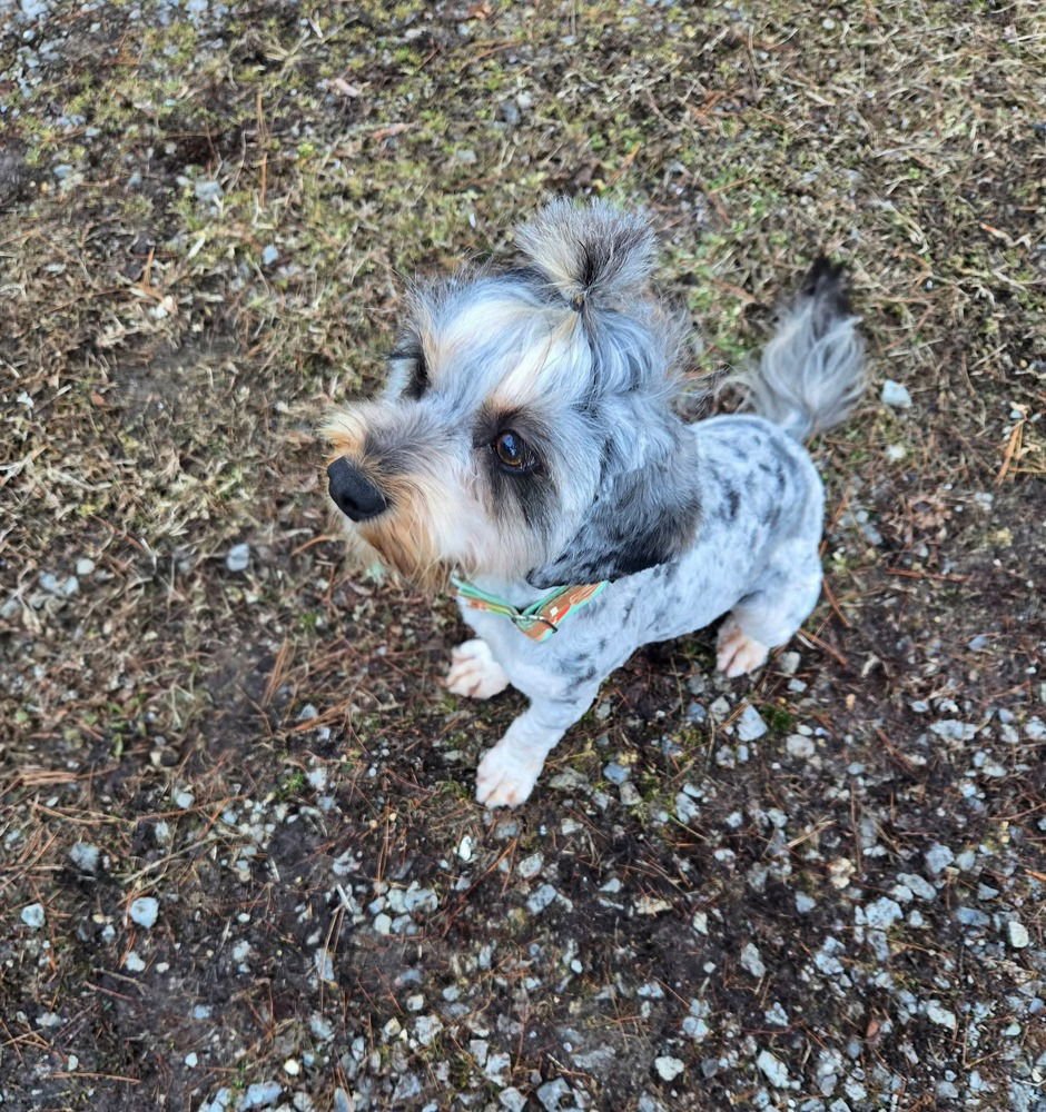 Miss Willow - Photo 3