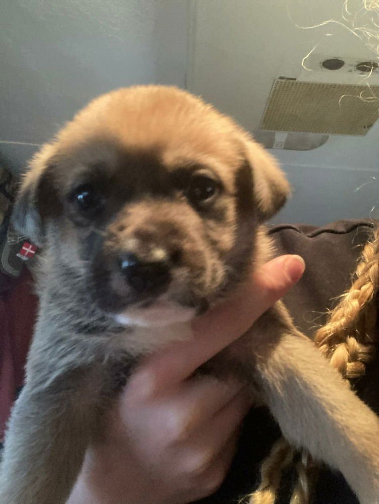 Colorado : Vail - Photo 3