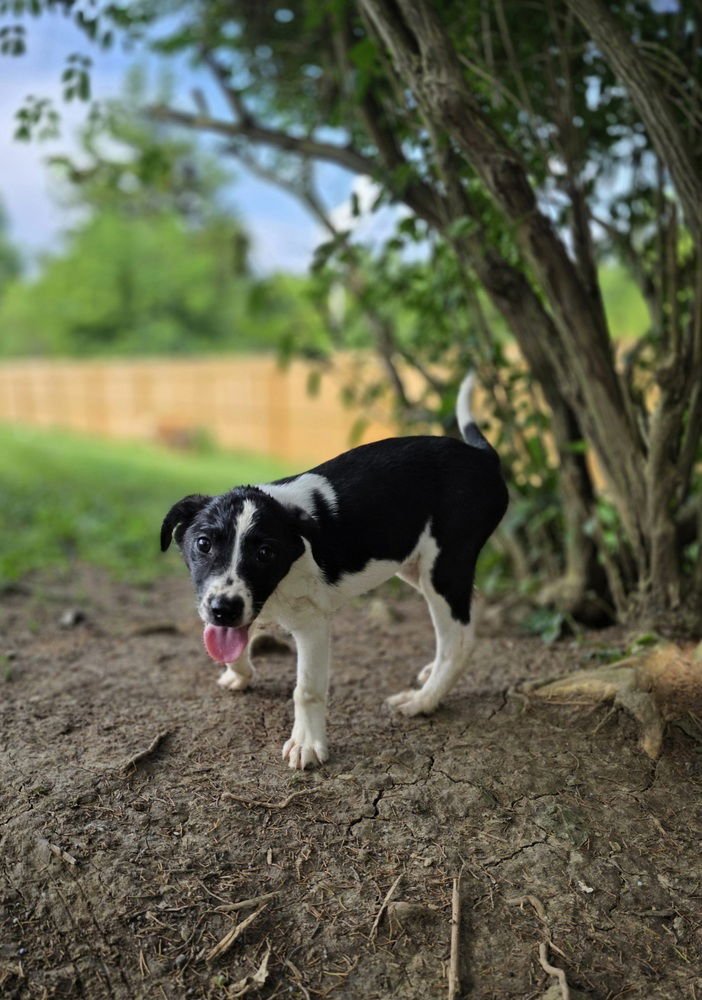 SRV Amazon : Heidi - Photo 4