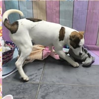 Marion Bullgles : Faith - Photo 3