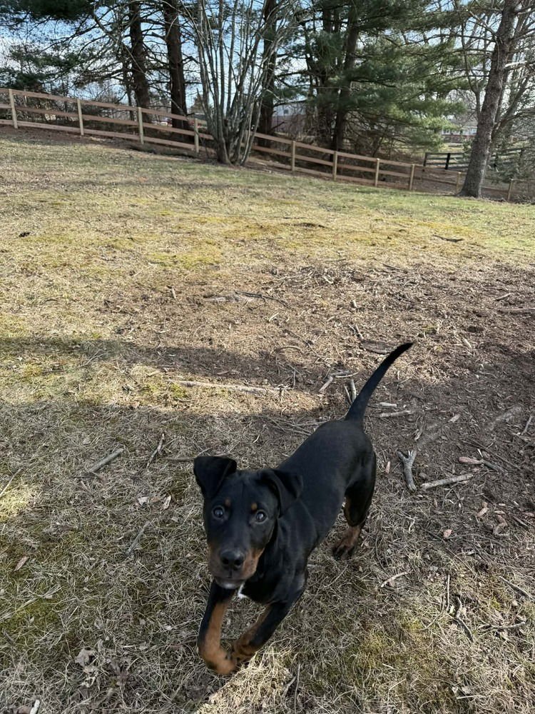 Bellatrix Dawn - Photo 4