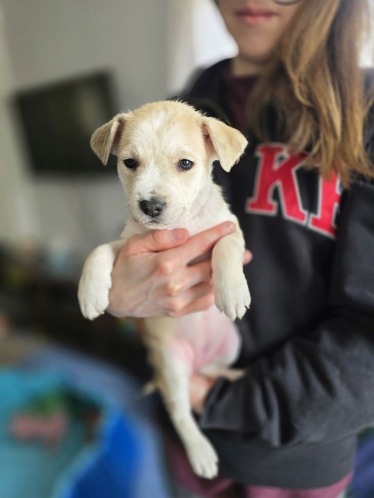 Ladybirds : Sammie - Photo 4