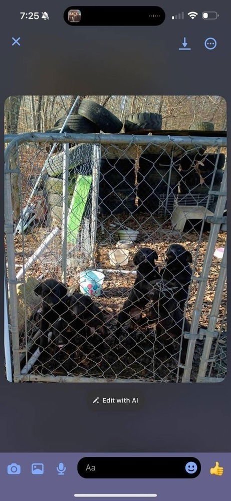 Garbage Pail Kids : Raked Jacob - Photo 3