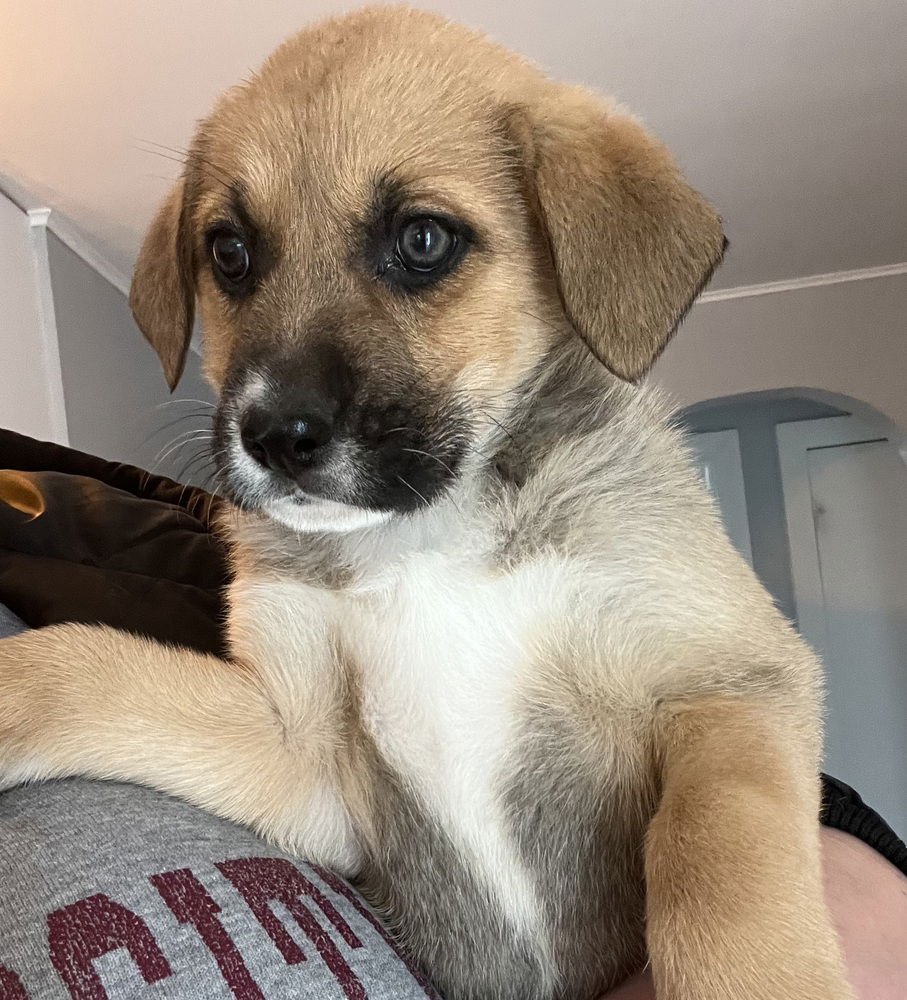 Colorado : Aurora - Photo 3