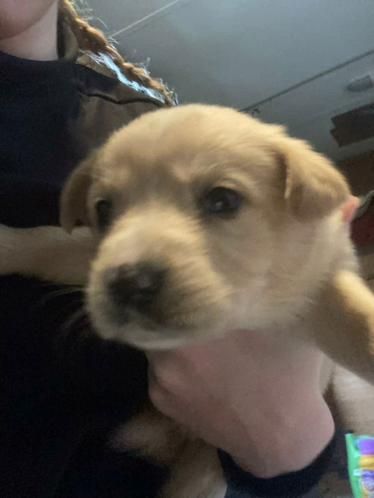 Colorado : Aurora - Photo 4