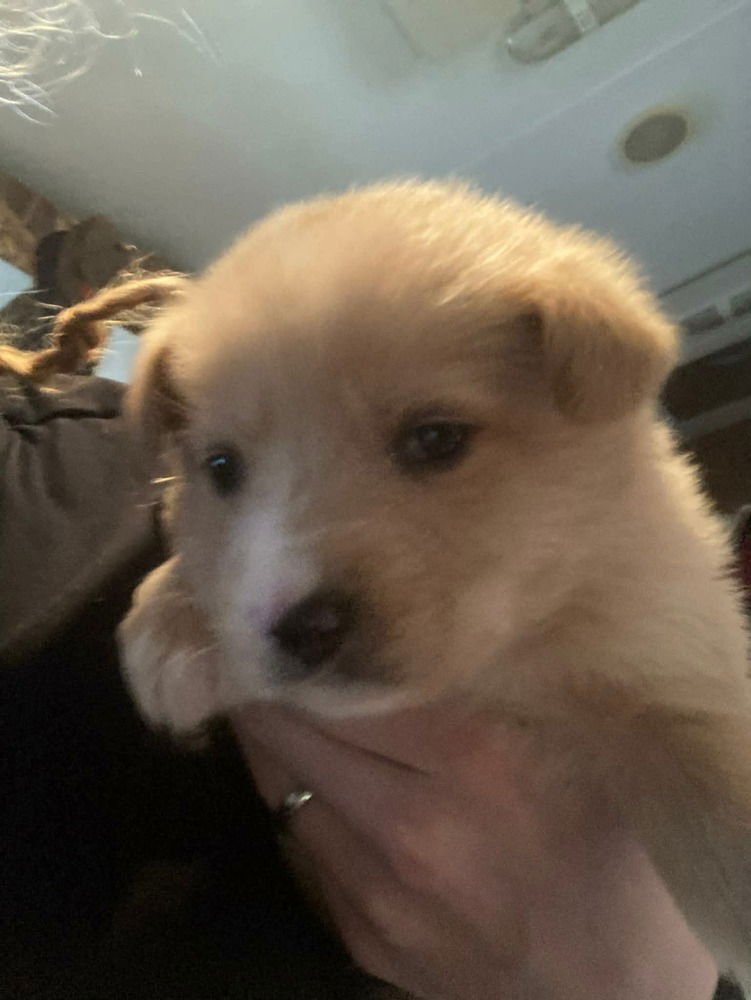 Colorado : Aspen - Photo 3