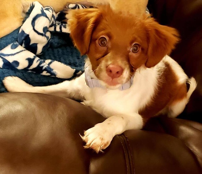 Bug Babes : Butterfly - Photo 3