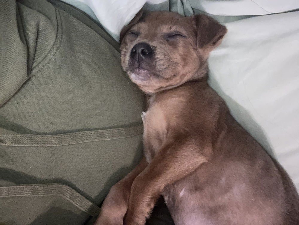 Franklin Nathaniel - Photo 3