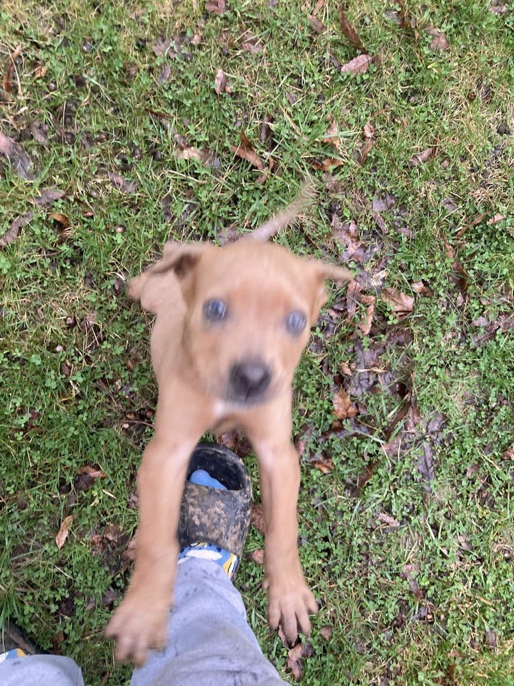 Franklin Nathaniel - Photo 4