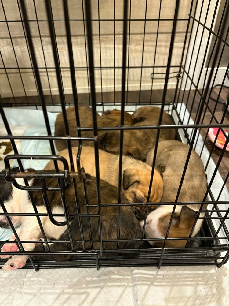 Dawson's Tribute : Pacey - Photo 4