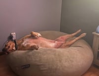 Crayola Pack : Corduroy - Photo 3