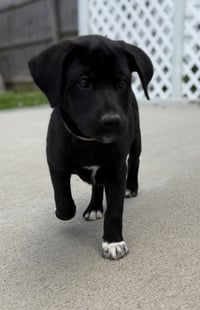 Connecticut : Meriden - Photo 4