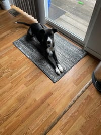 ABBS : Ashi - Photo 1