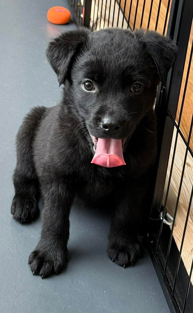 Lucky Lassies :  Kaylie - Photo 3