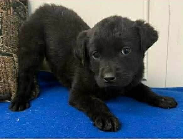 Lucky Lassies :  Kaylie - Photo 4