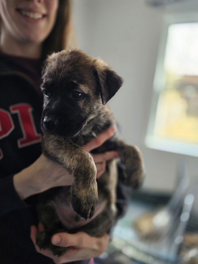 Ladybirds : Tex - Photo 3