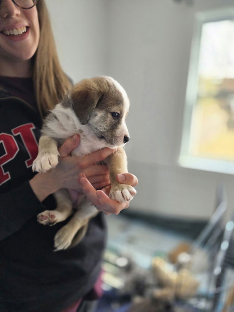 Ladybirds : Rogue - Photo 4