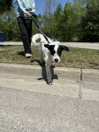 Queue - Photo 4