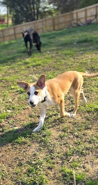 Marion Bros : Moe - Photo 1