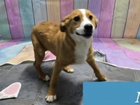 Marion Bros : Moe - Photo 3